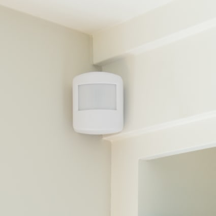 Buffalo motion sensor