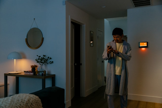 Vivint Buffalo smarthome automation